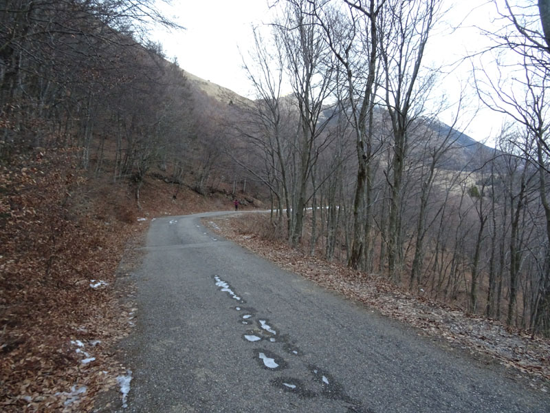 Punta di Naole e Monte Sparavero (Gruppo del Monte Baldo)